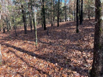 Welcome to your own slice of paradise in beautiful Fairfield Bay on Indian Hills Country Club in Arkansas - for sale on GolfHomes.com, golf home, golf lot