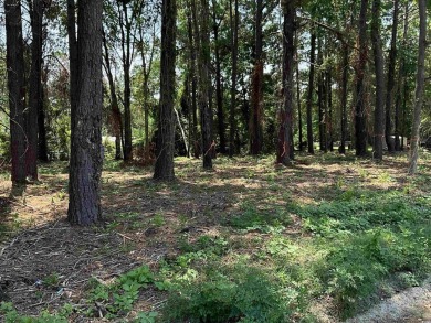 One acre residential corner lot only a block away from Wyboo on Players Course At Wyboo Plantation in South Carolina - for sale on GolfHomes.com, golf home, golf lot