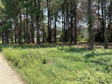 One acre residential corner lot only a block away from Wyboo on Players Course At Wyboo Plantation in South Carolina - for sale on GolfHomes.com, golf home, golf lot