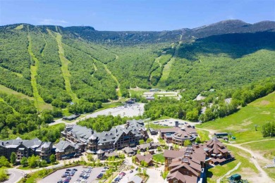 Discover The Lodge at Spruce Peak, the crown jewel of the Alpine on Stowe Mountain Club in Vermont - for sale on GolfHomes.com, golf home, golf lot