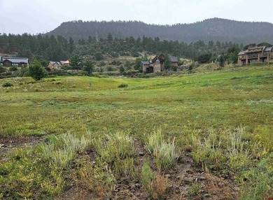 Wendy G Saunders, Keller Williams Realty Southwest Associates on Rio Grande Golf Club in Colorado - for sale on GolfHomes.com, golf home, golf lot