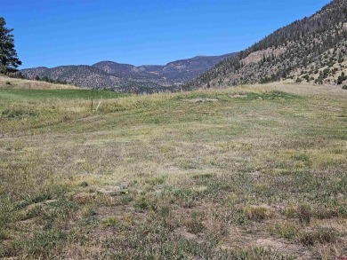 Wendy G Saunders, Keller Williams Realty Southwest Associates on Rio Grande Golf Club in Colorado - for sale on GolfHomes.com, golf home, golf lot