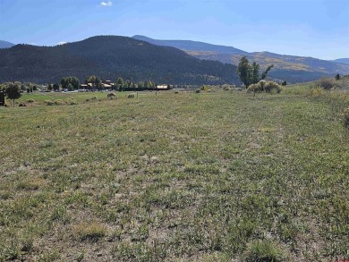 Wendy G Saunders, Keller Williams Realty Southwest Associates on Rio Grande Golf Club in Colorado - for sale on GolfHomes.com, golf home, golf lot