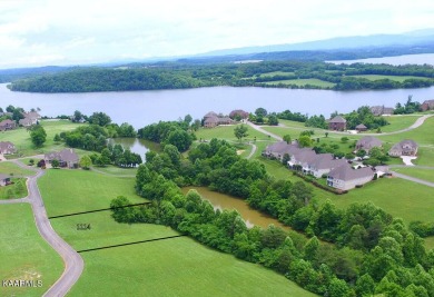 One of the FEW great, full sized lots that will accommodate a on Rarity Bay Golf and Country Club - Monroe in Tennessee - for sale on GolfHomes.com, golf home, golf lot