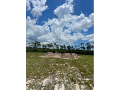 A rare find!  Large 1 acre +/- building site that is centrally on Saint Josephs Bay Country Club in Florida - for sale on GolfHomes.com, golf home, golf lot