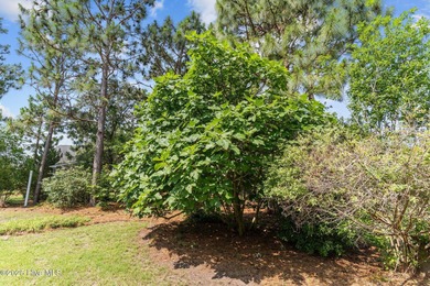 Stunning home on an oversized lot in the highly desirable on Compass Pointe Golf Course in North Carolina - for sale on GolfHomes.com, golf home, golf lot