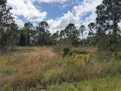 Great property in a NON-deed restricted community, that is on Seminole Lakes Country Club in Florida - for sale on GolfHomes.com, golf home, golf lot