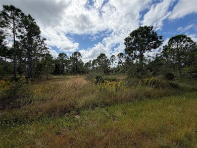 Great property in a NON-deed restricted community, that is on Seminole Lakes Country Club in Florida - for sale on GolfHomes.com, golf home, golf lot