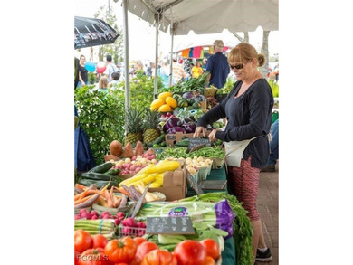 BUNDLED GOLF INCLUDED!!! WATER & GOLF COURSE VIEWS!! Why wait on Babcock National Golf Course in Florida - for sale on GolfHomes.com, golf home, golf lot