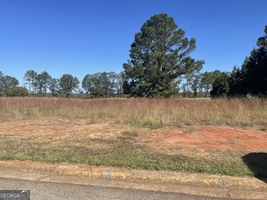 This lot is nice and level in the beautiful Southern Hills on Southern Hills Golf Club in Georgia - for sale on GolfHomes.com, golf home, golf lot