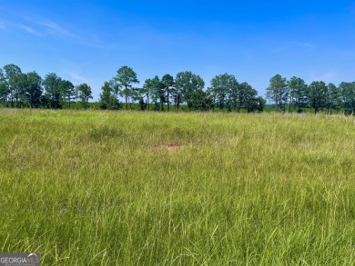 This lot is nice and level in the beautiful Southern Hills on Southern Hills Golf Club in Georgia - for sale on GolfHomes.com, golf home, golf lot
