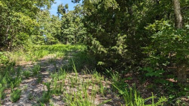 Check out these two Cherokee Village lots located near one of on Cherokee Village North Course in Arkansas - for sale on GolfHomes.com, golf home, golf lot