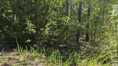 Check out these two Cherokee Village lots located near one of on Cherokee Village North Course in Arkansas - for sale on GolfHomes.com, golf home, golf lot