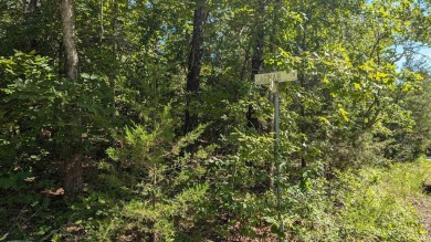 Get a great deal on this lot bundle! Four local lots that on Cherokee Village North Course in Arkansas - for sale on GolfHomes.com, golf home, golf lot