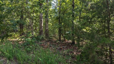 Get a great deal on this lot bundle! Four local lots that on Cherokee Village North Course in Arkansas - for sale on GolfHomes.com, golf home, golf lot