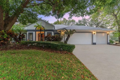 High and Dry through both recent storms. Welcome to your dream on Innisbrook Resort and Golf Club in Florida - for sale on GolfHomes.com, golf home, golf lot