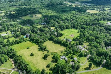 Magnificent 8.7 Acre Building Lot with Storied Carriage House on New Jersey National Golf Club in New Jersey - for sale on GolfHomes.com, golf home, golf lot