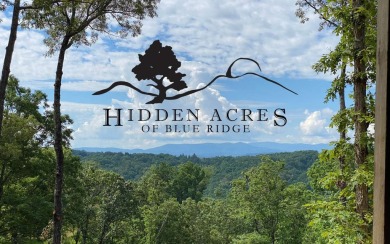 One of the last large estate sized lots available-with adjoining on Old Toccoa Farm Golf Club in Georgia - for sale on GolfHomes.com, golf home, golf lot