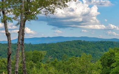 One of the last large estate sized lots available-with adjoining on Old Toccoa Farm Golf Club in Georgia - for sale on GolfHomes.com, golf home, golf lot