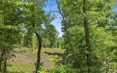 One of the last large estate sized lots available-with adjoining on Old Toccoa Farm Golf Club in Georgia - for sale on GolfHomes.com, golf home, golf lot