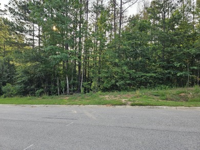 Looking for a lot on the golf course in Mount Vintage? Welcome on Mount Vintage Plantation and Golf Club  in South Carolina - for sale on GolfHomes.com, golf home, golf lot