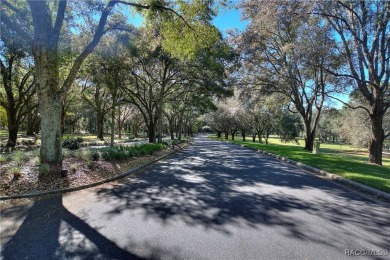 Estate lot just waiting for your dream home! Over 3/4 of an acre on Black Diamond Ranch Golf Course in Florida - for sale on GolfHomes.com, golf home, golf lot