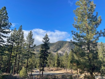 This very large parcel is also one of the most private, nicely on Clear Creek Tahoe in Nevada - for sale on GolfHomes.com, golf home, golf lot