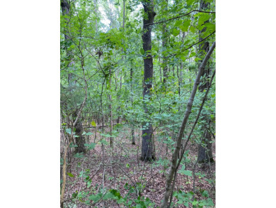 This beautiful property is the perfect haven to build your dream on Tannenbaum Golf Club in Arkansas - for sale on GolfHomes.com, golf home, golf lot