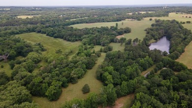 Absolutely amazing!  A dream come true!  Wouldn't you love to on  in Texas - for sale on GolfHomes.com, golf home, golf lot