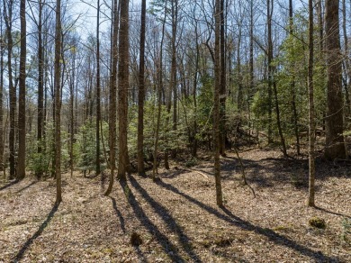 Welcome to your dream homesite nestled in the picturesque on White Path Golf Club in Georgia - for sale on GolfHomes.com, golf home, golf lot
