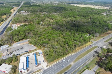 This prime multi-parcel land development opportunity is located on Brentwood Farms Golf Club in Florida - for sale on GolfHomes.com, golf home, golf lot