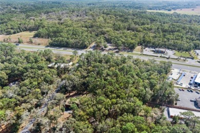 This prime multi-parcel land development opportunity is located on Brentwood Farms Golf Club in Florida - for sale on GolfHomes.com, golf home, golf lot