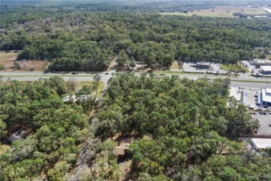 This prime multi-parcel land development opportunity is located on Brentwood Farms Golf Club in Florida - for sale on GolfHomes.com, golf home, golf lot