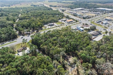 This prime multi-parcel land development opportunity is located on Brentwood Farms Golf Club in Florida - for sale on GolfHomes.com, golf home, golf lot