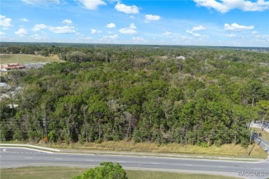 This prime multi-parcel land development opportunity is located on Brentwood Farms Golf Club in Florida - for sale on GolfHomes.com, golf home, golf lot