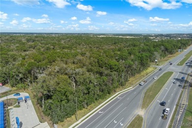 This prime multi-parcel land development opportunity is located on Brentwood Farms Golf Club in Florida - for sale on GolfHomes.com, golf home, golf lot