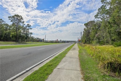 This prime multi-parcel land development opportunity is located on Brentwood Farms Golf Club in Florida - for sale on GolfHomes.com, golf home, golf lot