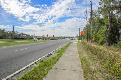 This prime multi-parcel land development opportunity is located on Brentwood Farms Golf Club in Florida - for sale on GolfHomes.com, golf home, golf lot