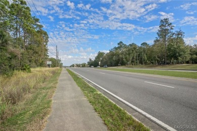 This prime multi-parcel land development opportunity is located on Brentwood Farms Golf Club in Florida - for sale on GolfHomes.com, golf home, golf lot