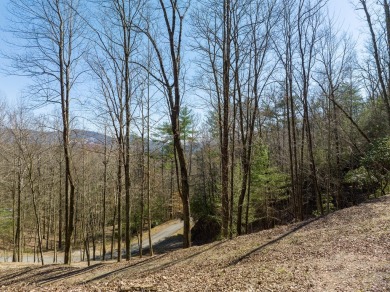 Welcome to your slice of mountain paradise at Buckhorn Estates! on White Path Golf Club in Georgia - for sale on GolfHomes.com, golf home, golf lot