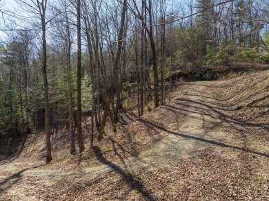 Welcome to your slice of mountain paradise at Buckhorn Estates! on White Path Golf Club in Georgia - for sale on GolfHomes.com, golf home, golf lot