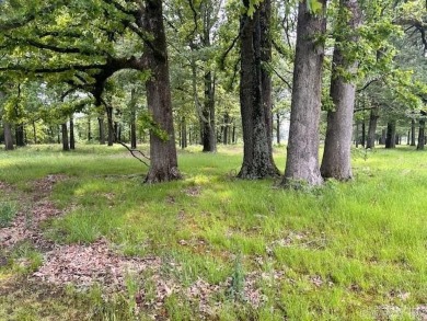 Build your home here! Living on a golf course has never been so on Oak Hills Country Club in Arkansas - for sale on GolfHomes.com, golf home, golf lot