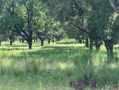Build Your Dream Home in the Prestigious Pecan Plantation! on Pecan Plantation Country Club in Texas - for sale on GolfHomes.com, golf home, golf lot