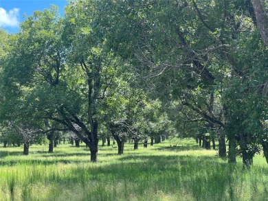 Build Your Dream Home in the Prestigious Pecan Plantation! on Pecan Plantation Country Club in Texas - for sale on GolfHomes.com, golf home, golf lot