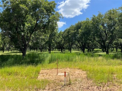 Build Your Dream Home in the Prestigious Pecan Plantation! on Pecan Plantation Country Club in Texas - for sale on GolfHomes.com, golf home, golf lot