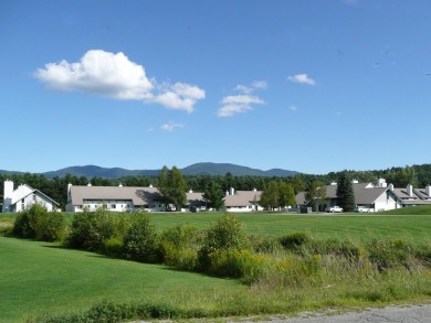 Why not just make it easy? This 2 bedroom, 2 bath condominium on Stowe Country Club in Vermont - for sale on GolfHomes.com, golf home, golf lot