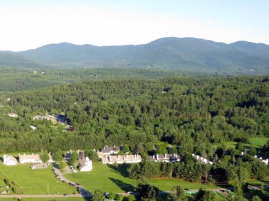 Why not just make it easy? This 2 bedroom, 2 bath condominium on Stowe Country Club in Vermont - for sale on GolfHomes.com, golf home, golf lot