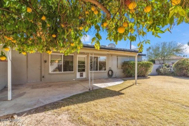 AMAZING SINGLE LEVEL, CORNER LOT, 2 BEDROOM, 2 BATHROOM HOME IN on Scottsdale Shadows in Arizona - for sale on GolfHomes.com, golf home, golf lot