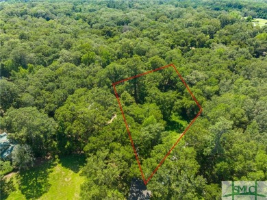 This ultra-private lot is tucked among 1.19 acres of mature oaks on The Ford Field and River Club  in Georgia - for sale on GolfHomes.com, golf home, golf lot