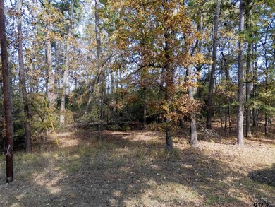 An opportunity to own a wooded, level lot in the Holly Lake on Holly Lake Ranch Golf Club in Texas - for sale on GolfHomes.com, golf home, golf lot